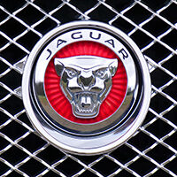 jaguar 1660955 1280 e1758933656415
