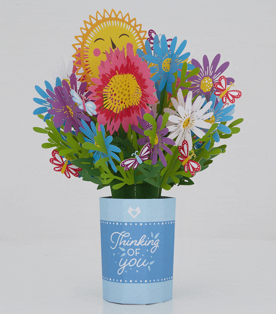 360° Spin GIF Creation