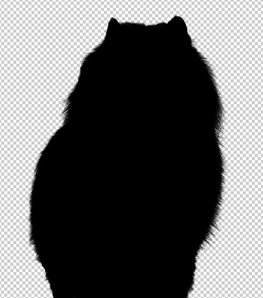 Silhouette of a furry animal with transparent background using alpha channel masking.