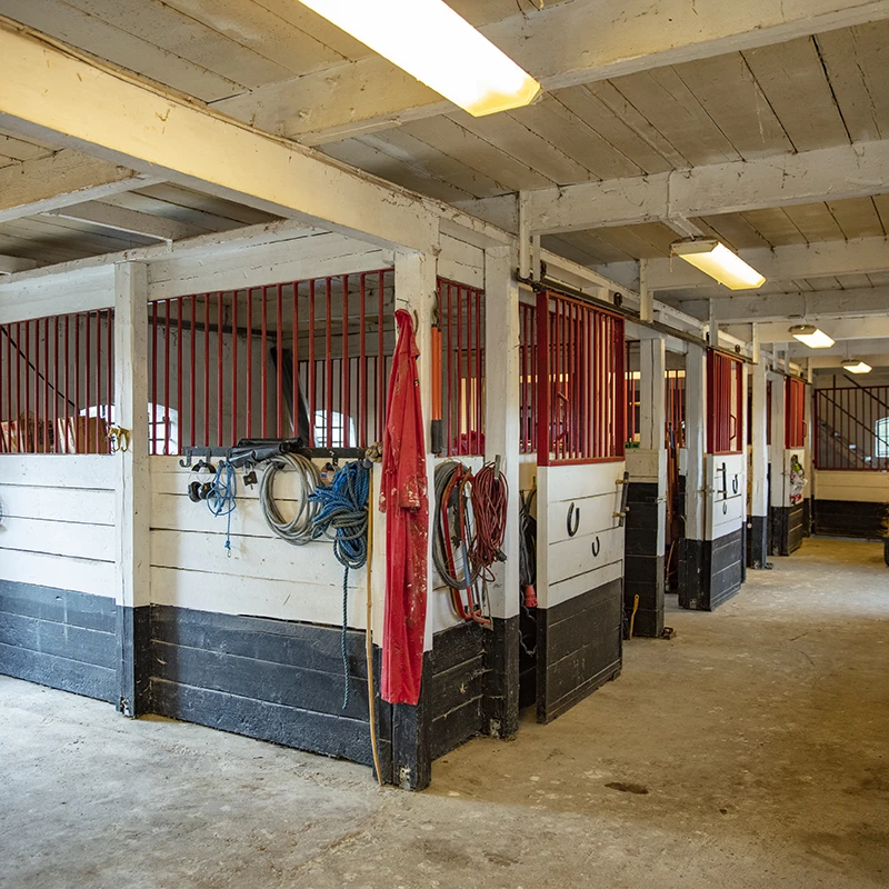 Real Estate Retouching