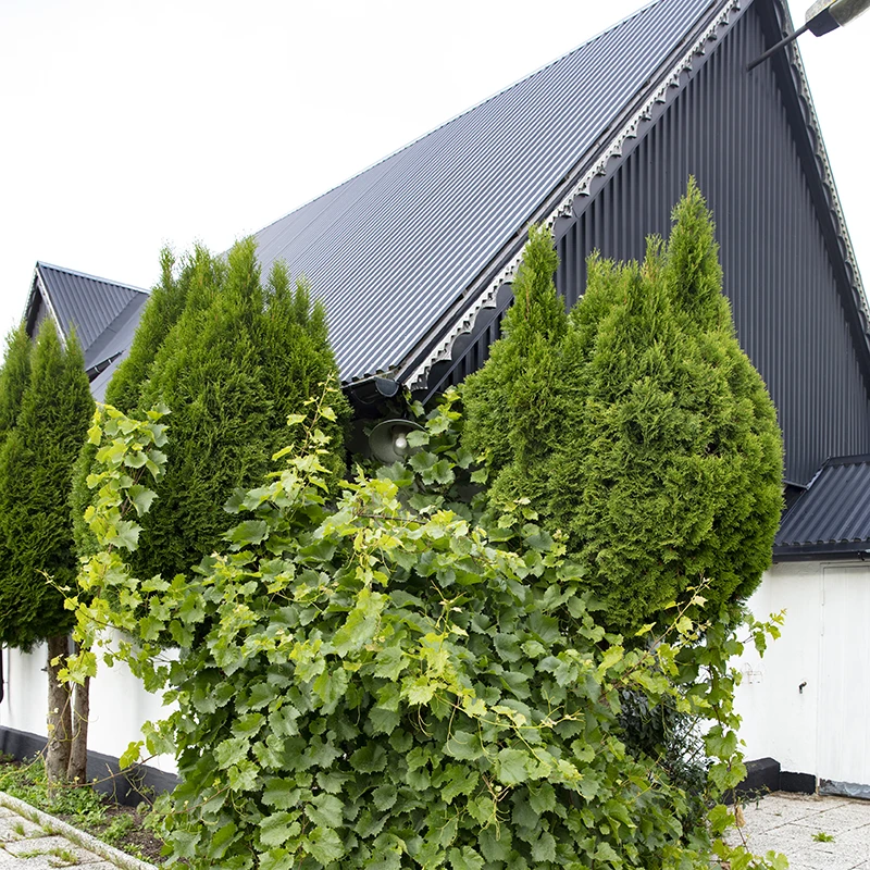 Real Estate Retouching